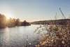 Wienerwaldsee: Ein beliebtes Ausflugsziel in Niederösterreich. Im Bild ein Blick auf den See in der Abendsonne. 