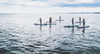 Bregenz Sehenswürdigkeiten: Blick auf den Bodensee mit vielen Stand-up-Paddlern