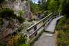 Zum Niederösterreich Wandern gehören die Ötschergräben. Auf dem Bild sieht man einen Wanderweg samt Holzbrücke.