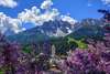 Pustertal: Ein Blick auf den Ort Innichen und die dahinterliegenden, schneebedeckten Gipfel an einem Frühlingstag. Im Vordergrund die Blüten an einem Baum.  