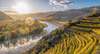 Zu den Wachau Sehenswürdigkeiten gehören die Weine der Region. Auf dem Bild sieht man Wein-Terrassen vor Dürnstein an der Donau im Herbst. Auf dem Foto ist ein Fluss zu sehen mit Weinreben und schöner Landschaft zu sehen. Die Ansicht ist von oben.