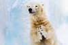 Zoobesuch mit Kindern im Winter