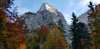 Blick von unten hoch auf Baumwipfel und Berggipfel in Tirol