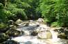 Wandern auf dem Natura Trail an der Feldaist in Oberösterreich