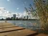 Picknick an der Donau.