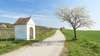 Der Kirschblütenweg am Neusiedler See