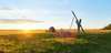 Mit dem Zug zum Neusiedler See: Ausflugtipps
