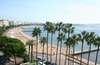 Cote d'Azur: Blick auf den Strand von Cannes, im Vordergrund Palmen. Es ist ein sonniger Sommertag, daher sind viele Menschen am Strand, darüber der blaue Himmel. 