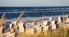 Zum Sylt Urlaub gehören die Strandbäder. Auf dem Bild sieht man ein Strandbad mit vielen klassisch blau-weißen Strandkörben. Im Vordergrund steht Schilfgras, das sich im Wind beugt. 