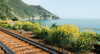 Interrail-Packliste: Ein Blick auf die Schienen bei Cinque Terre, dahinter Berge und das Meer. 