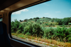 Interrail Packliste: Der Blick aus dem Zugfenster, wie hier auf die grüne Landschaft zwischen Rimini und Ancona in Italien, ist Teil des Abenteuers Interrail. 