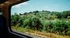 Interrail Packliste: Der Blick aus dem Zugfenster, wie hier auf die grüne Landschaft zwischen Rimini und Ancona in Italien, ist Teil des Abenteuers Interrail. 