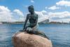 Kopenhagen Sehenswürdigkeiten: Auf dem Bild sieht man die Skulptur der kleinen Meerjungfrau vor dem Wasser, das Wahrzeichen der Stadt.