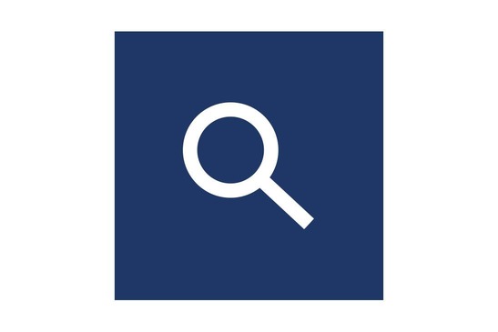 Icon Suchlupe, Textinsert weißer Hintergrund blaues Kästchen mit weißer Lupe