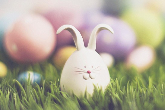 Osterhase auf einer Wiese