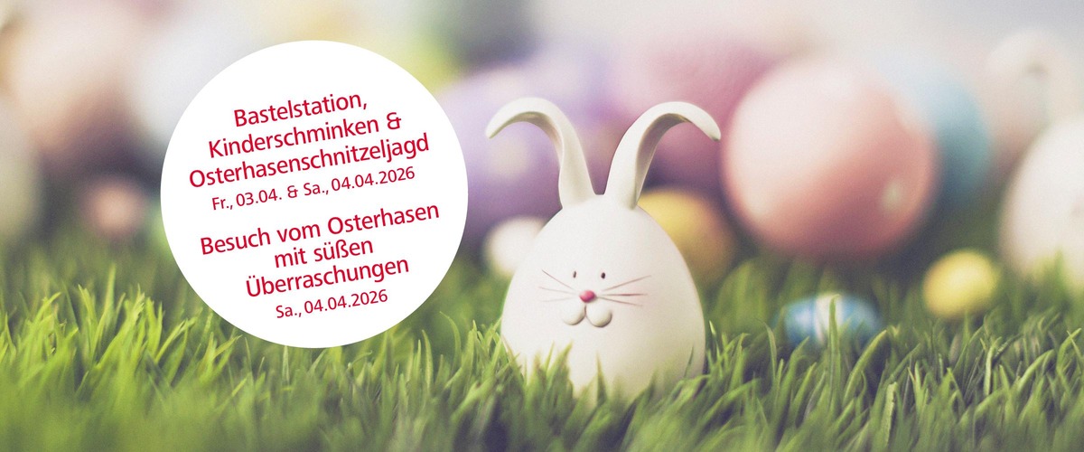 Osterhase auf einer Wiese