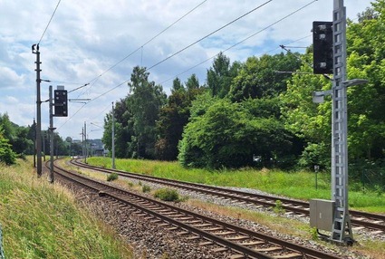 Bild von Gleisen mit Naturlandschaft
