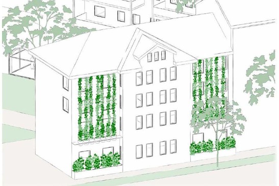 Textinsert: Straßenfassade, Mariazellerstr. 38