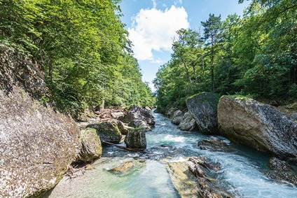 River in the forest in the Erlauf Valley
