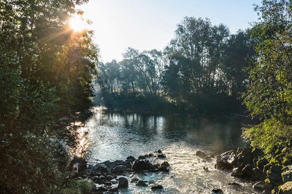 Rocky lakeshore with forest near Laßnitzhöhe