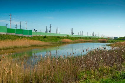 Teich mit Bahnstrecke im Hintergrund