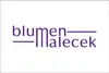 Blumen Malecek