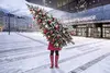 Vorplatz Hauptbahnhof Wien, auf dem eine Frau steht, die einen Weihnachtsbaum trägt