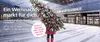Vorplatz Hauptbahnhof Wien, auf dem eine Frau steht, die einen Weihnachtsbaum trägt
