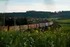 Austria Shuttle departs from Wels