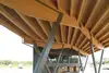 Wooden construction of the terminal canopy in Wels