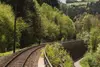 Gleise verlaufen in einer Rechtskurve durch einen grünen Wald