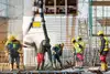 Concrete work on a construction site