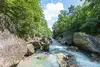 River in the forest in the Erlauf Valley