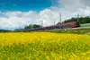 Canola field with train in the background