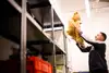 Ein Lost and Found Mitarbeiter hebt einen übergroßen Teddybären in ein Regal.