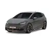 Rail & Drive Cupra Born