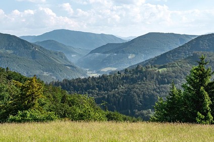 Blick ins Traisental