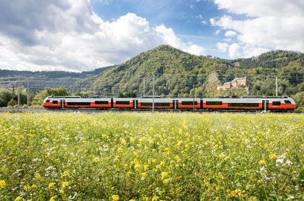 Cityjet fährt bei Blumenwiese vorbei