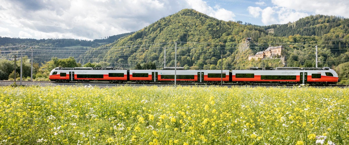 Zug in Landschaft, Blumenwiese