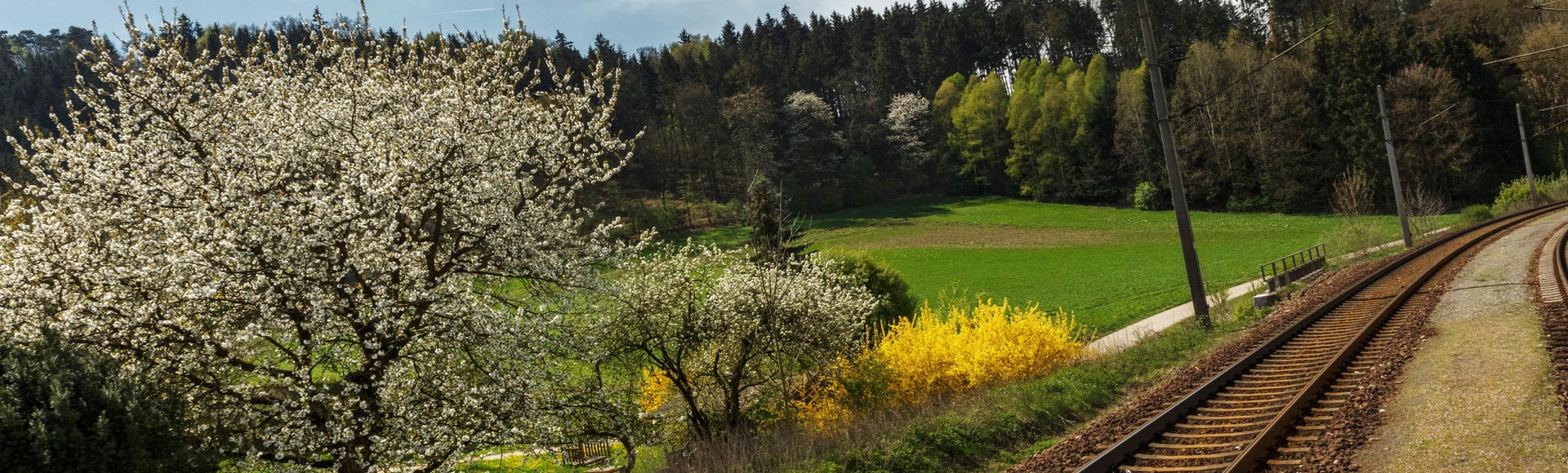 Zuggleise in Frühlingslandschaft