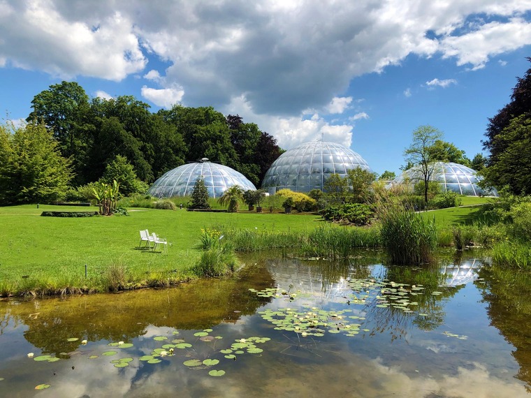 Zu den top Sehenswürdigkeiten in Zürich gehört der Botanische Garten. Auf dem Foto sieht man einen Teich, dahinter eine Glaskuppel im Botanischen Garten. 