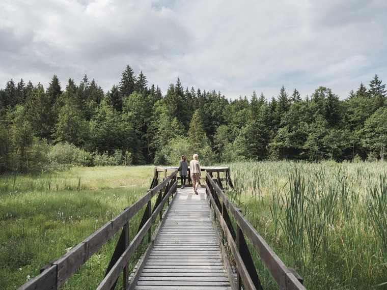 Zu den Sehenswürdigkeiten im Mühlviertel gehört das Refugium Moorwald