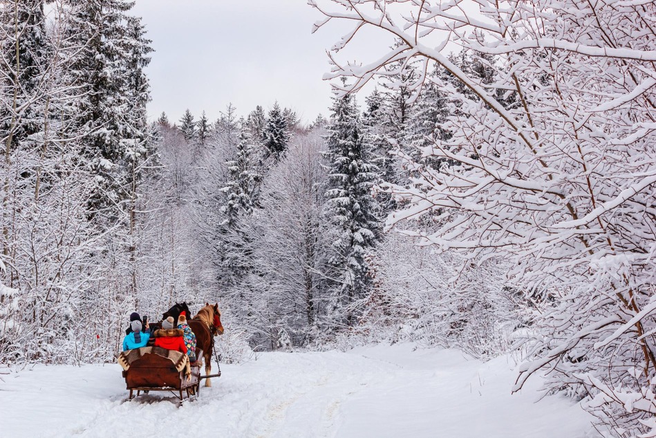 Pferdeschlitten mit einer Familie in einer Winterlandschaft