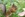 Eichhörnchen im Grazer Stadtpark wird von Hand gefüttert