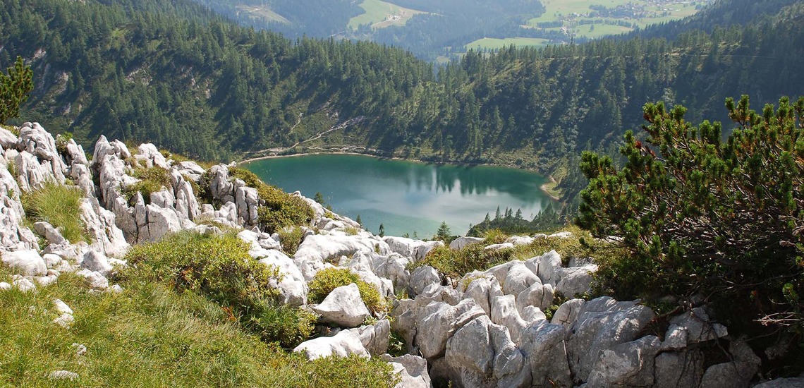 Wandern auf dem Natura Trail auf das Große Tragl in der Steiermark