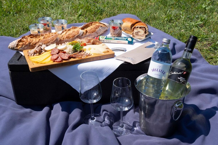 Picknicken in den Wiener Weinbergen