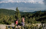 Wanderung am Zirbenweg
