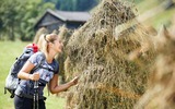 Person riecht am getrocknetem Gras