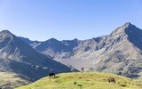 2 Personen auf Wiese mit Pferden 