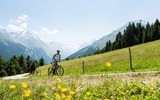 Radfahren im grünen